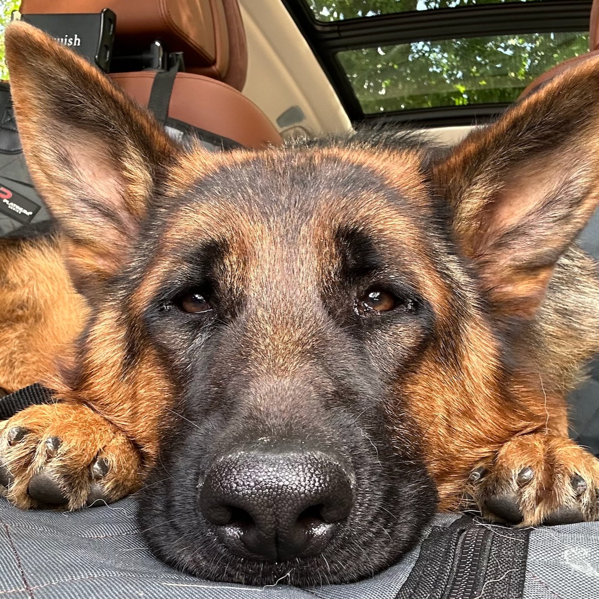 Maya Hutchby's profile