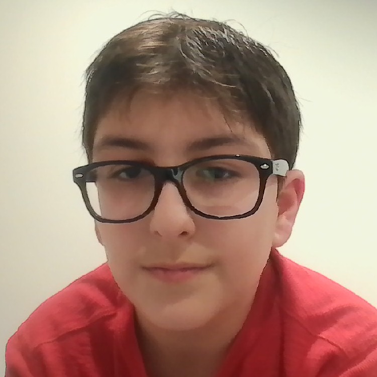 Amir Kashani's profile